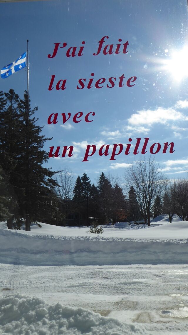 252742-aubague_collages_p1010697_copie.jpg