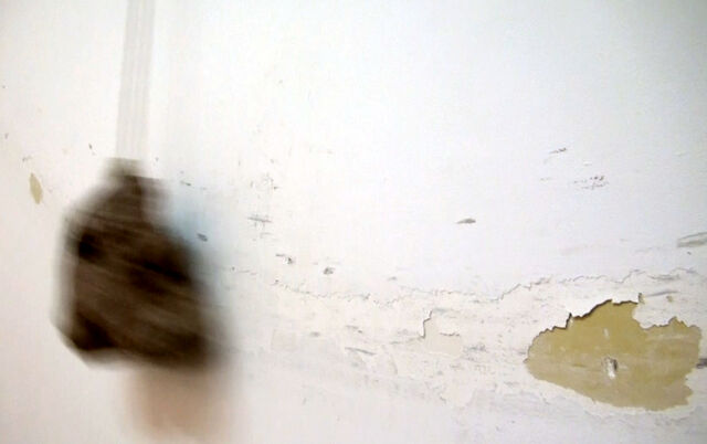 _White Cube_