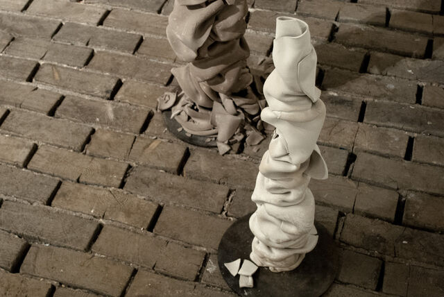 _Disparition progressive_