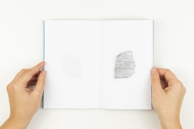 252671-marion-a-rosetta-stone-rosetta-stone08.jpg