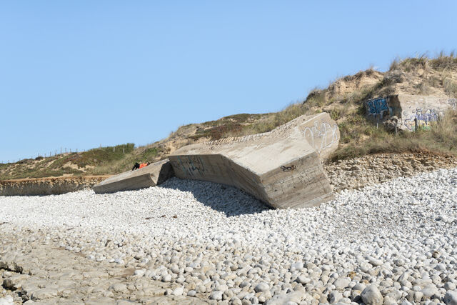 252476-marion-nos-chateaux-de-sable-ne-meurent-pas-avec-l-ete-marion_megalomania14.jpg