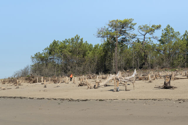 252883-marion-nos-chateaux-de-sable-ne-meurent-pas-avec-l-ete-megalomania_mes-81.jpg