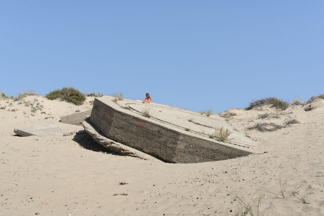 252483-marion-nos-chateaux-de-sable-ne-meurent-pas-avec-l-ete-marion_megalomania21.jpg