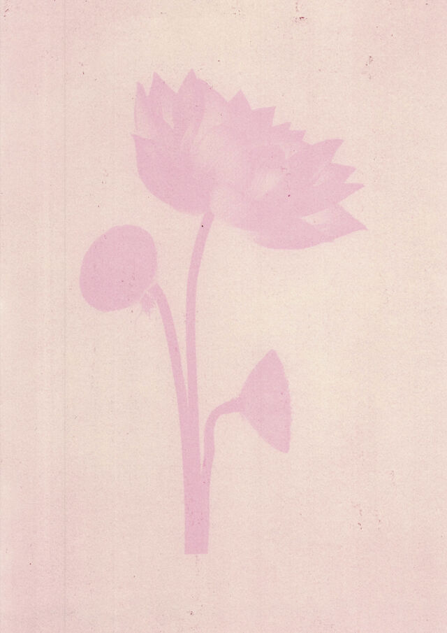 252222-marion-et-la-foule-soudain-tendit-une-fleur-anthotypes06.jpg