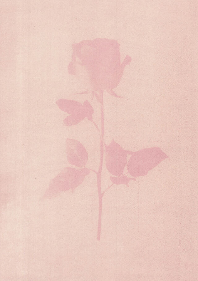 252227-marion-et-la-foule-soudain-tendit-une-fleur-anthotypes11.jpg