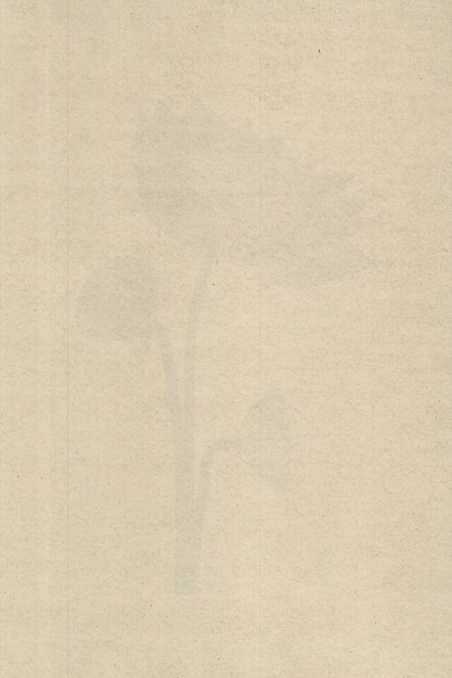 253018-marion-et-la-foule-soudain-tendit-une-fleur-anthotypes-2020_12.jpg