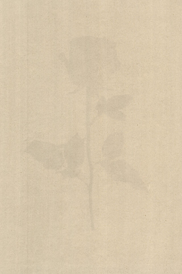 253009-marion-et-la-foule-soudain-tendit-une-fleur-anthotypes-2020_03.jpg