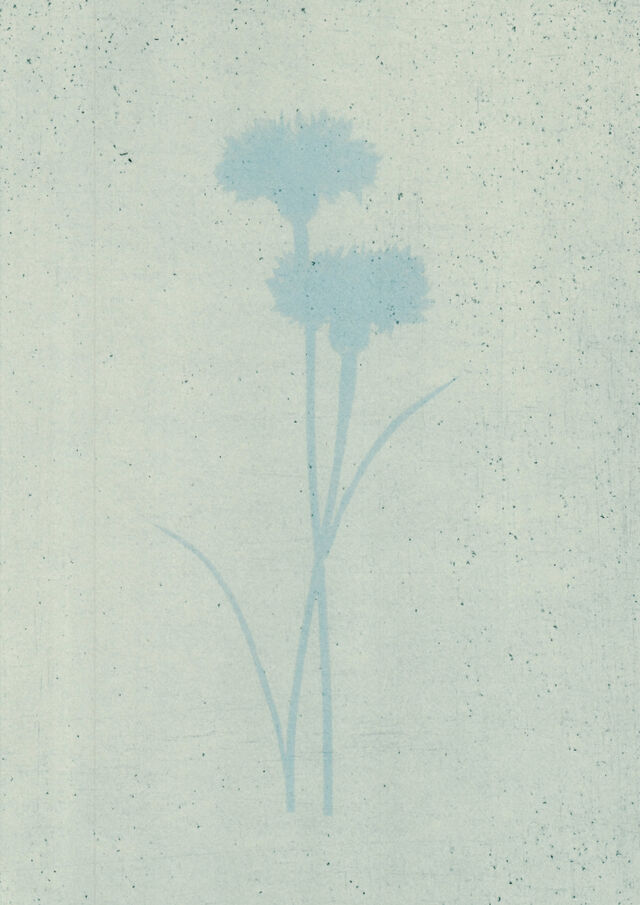 252228-marion-et-la-foule-soudain-tendit-une-fleur-anthotypes12.jpg