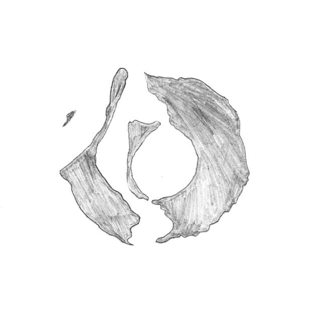 _Carte de Moana Fa'a'aro_