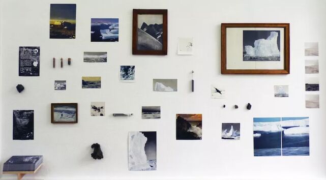 _Compositions naturalistes_