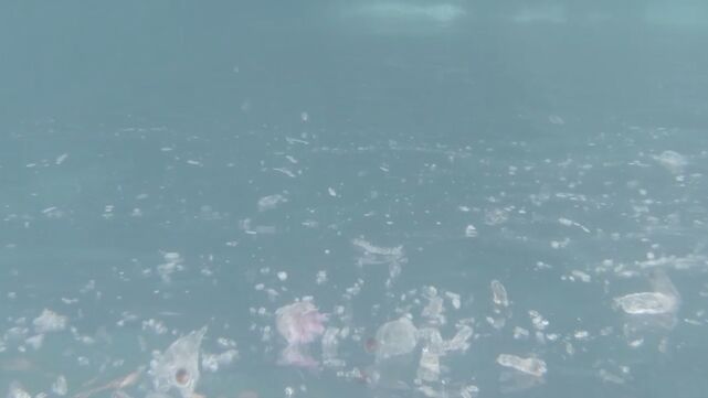_Études des fonds marins de Moana Fa'a'aro_