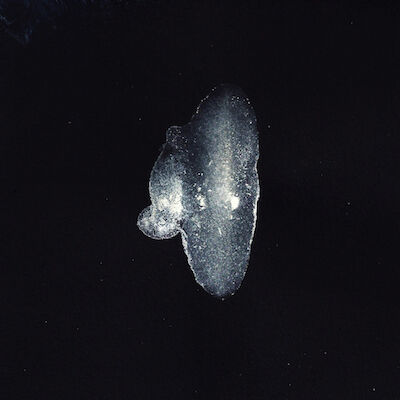 223847-scan-11.jpg