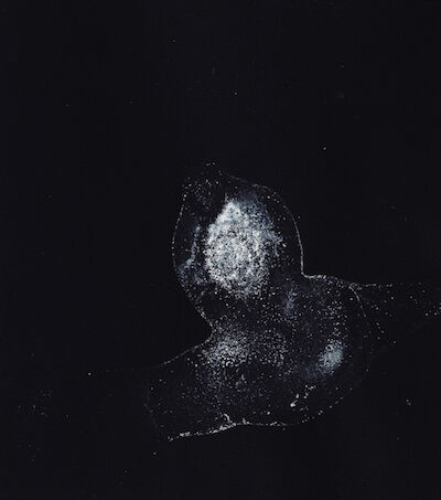 223843-scan-4-1.jpg