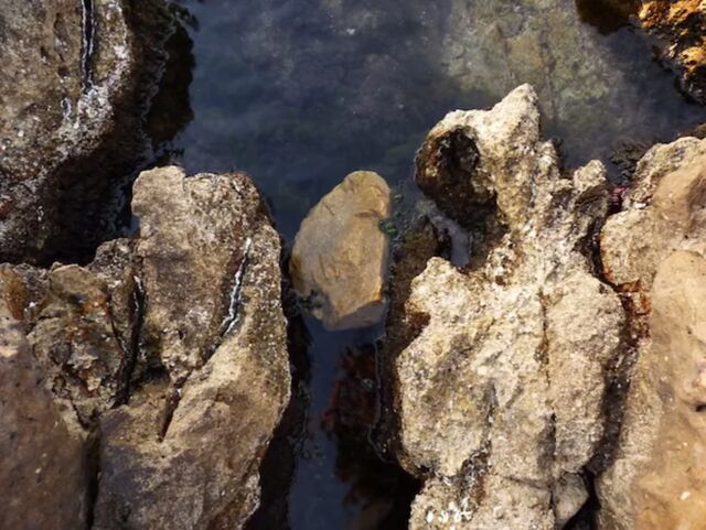Subisland