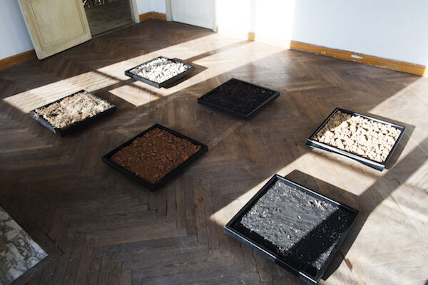 223779-se-diments-insulaires-franc-ois-mauplot.jpg