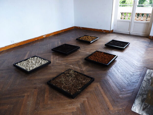 223778-se-diments-insulaires-2.jpg