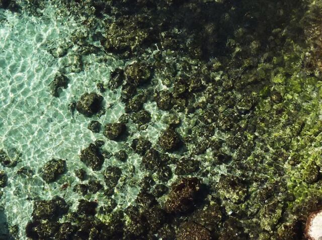 _Surfaces_