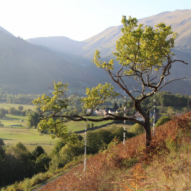 _Arbre en pleurs_