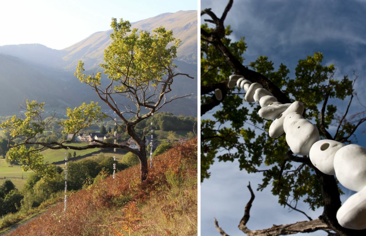 256738-schroeder-arbre-en-pleurs-img_7398-scaled-1-e1657548167101.png