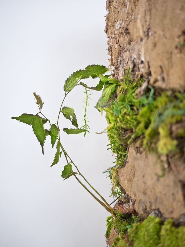 255750-schroeder-temple-of-seeds-temple_seeds21_3.jpg