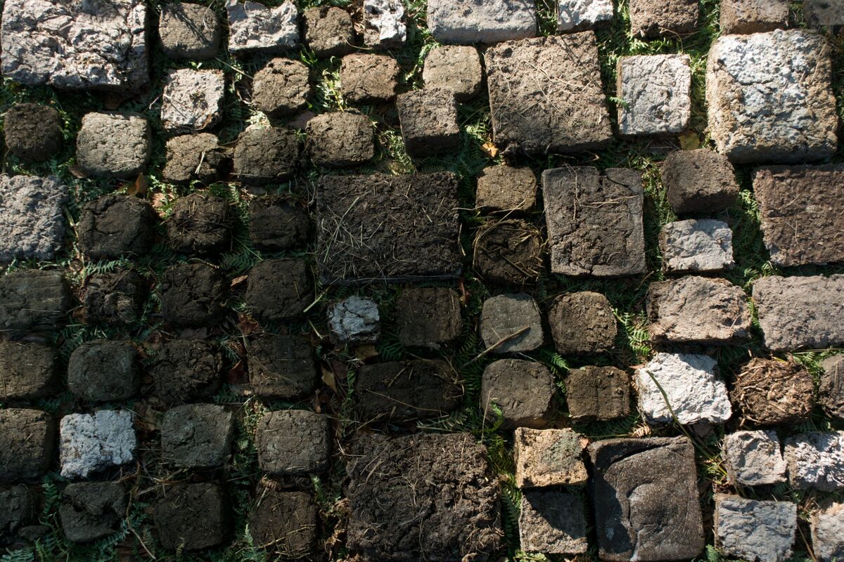 255629-traces_humances_accous_photos_bschroeder_20_.jpg