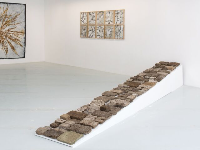 256765-schroeder-traces-humances-arteppes_148.jpg