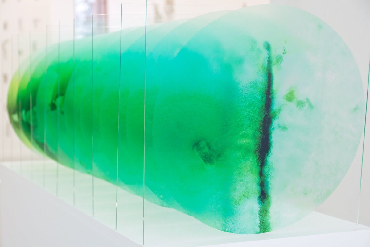 255832-schroeder-underearth-hyphes-montreuil-installations_schroeder_9_.jpg