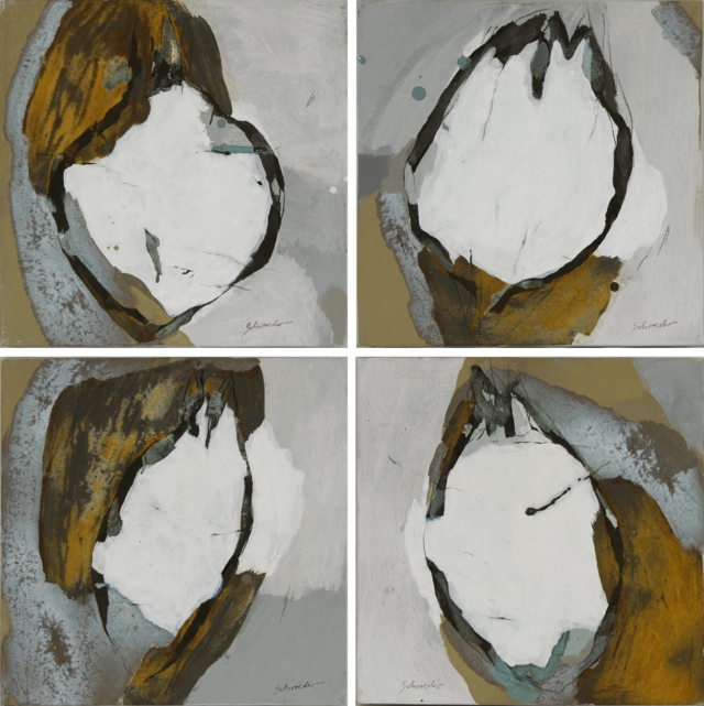 256140-schoeder-choux-des-bois.png