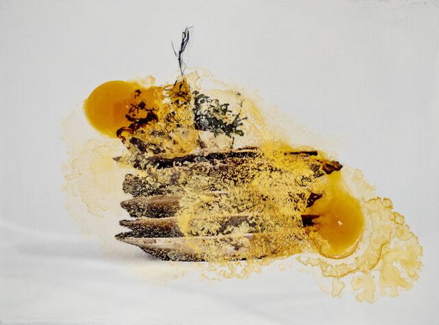 256529-schroeder-30x40-naturesmortes1_10.jpg