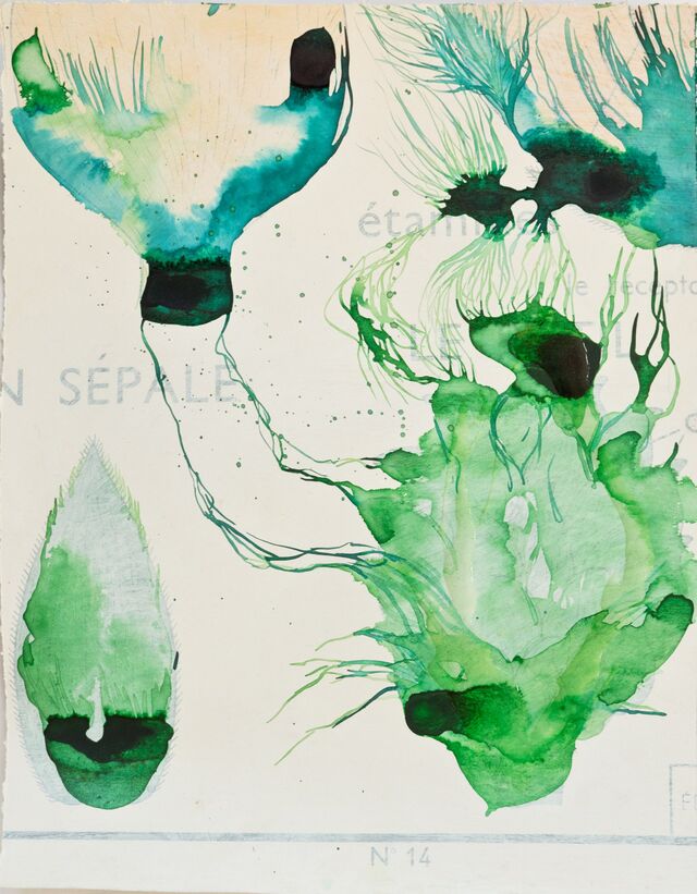 256005-schroeder-les-oubliees-fleurs_vues_de_dessous_5_.jpg