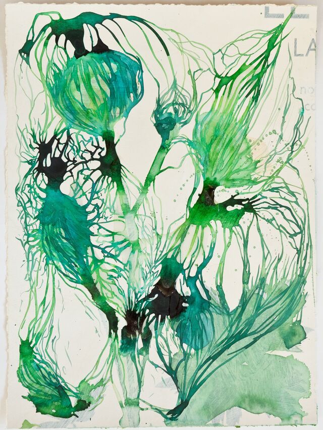 256004-schroeder-les-oubliees-fleurs_vues_de_dessous_4_.jpg