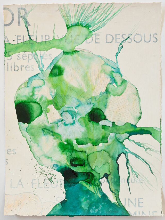 256001-schroeder-les-oubliees-fleurs_vues_de_dessous_2_.jpg