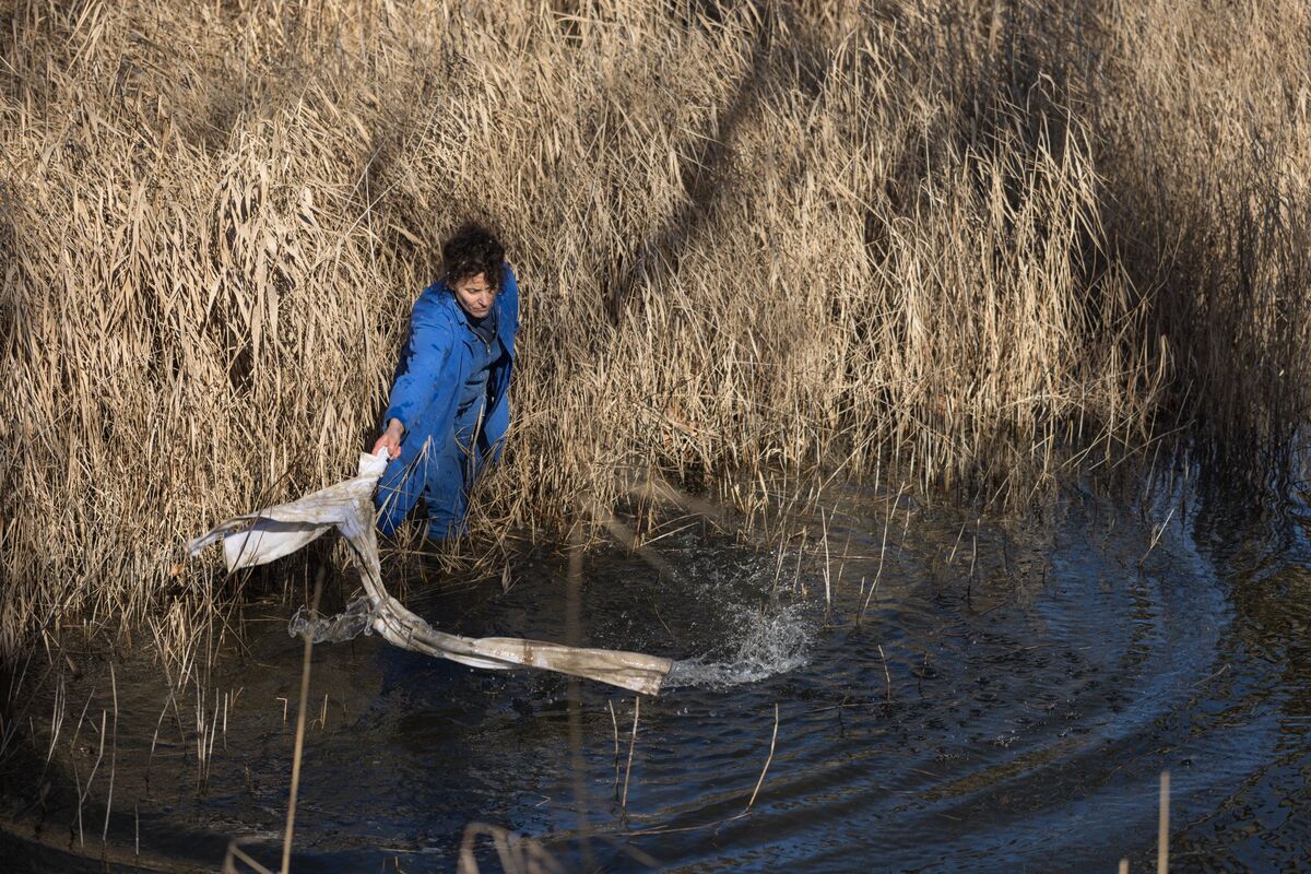 255614-schroeder-ate-air-terre-eau-jane_kleis_2024_23_.jpg