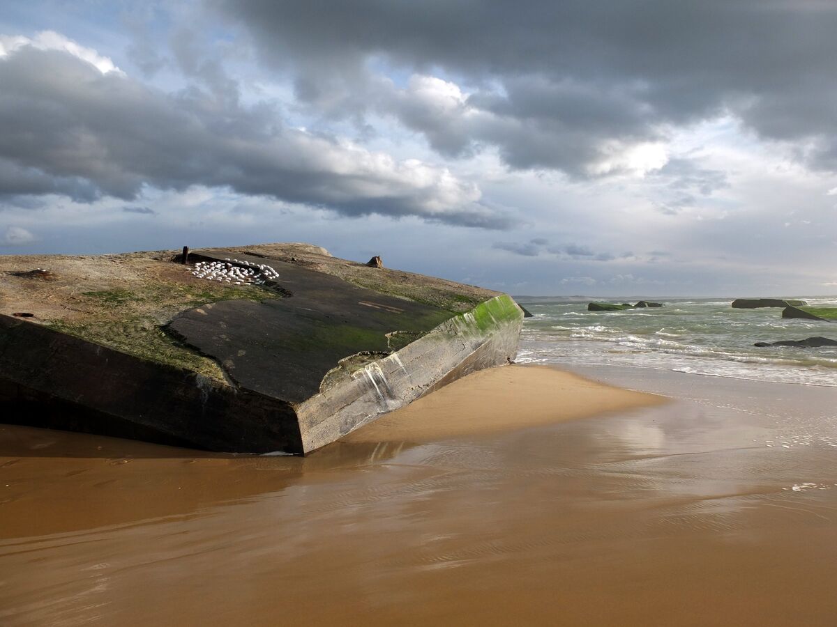 256668-schroeder-meers-arm-bunker35.jpg