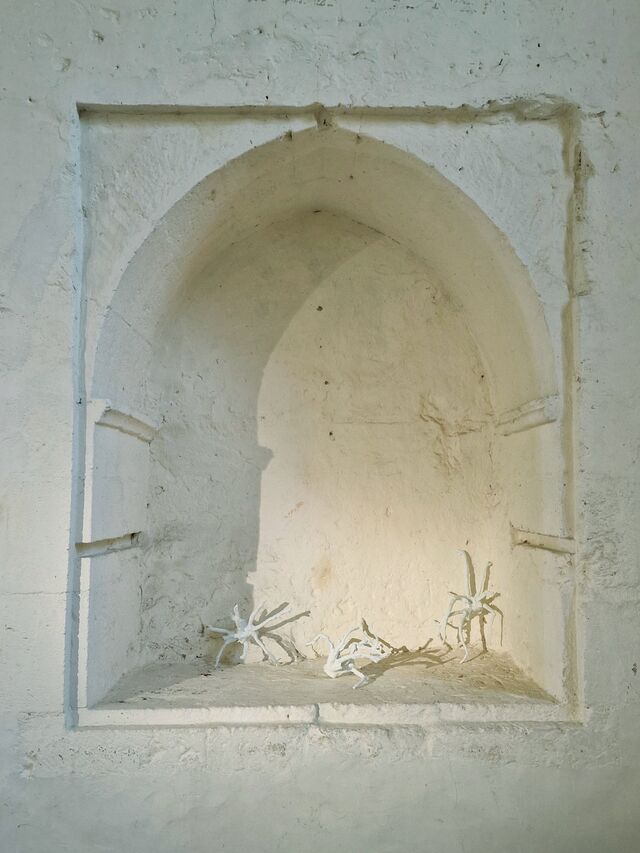 255962-schroeder-bodenansichten-saint-loube_s-20240503_150900.jpg