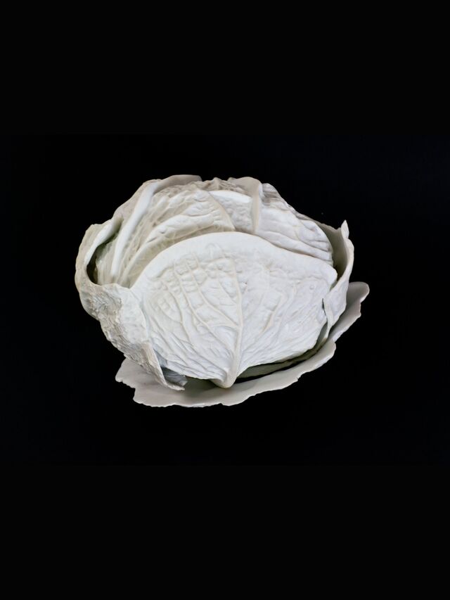 _Fleurs de terre_