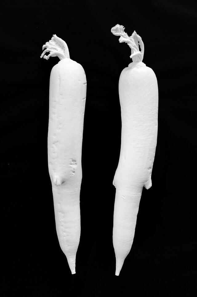 255829-schroeder-fleur-de-terre-navet.jpg