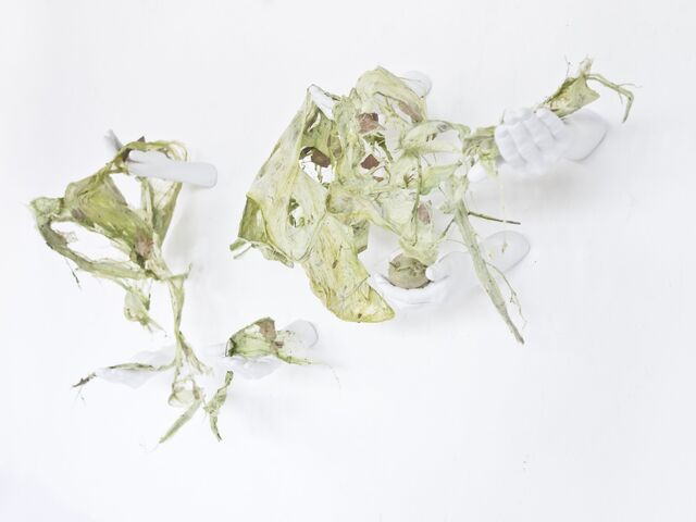 255927-schroeder-mains-de-terre-naturesmortes1_15.jpg