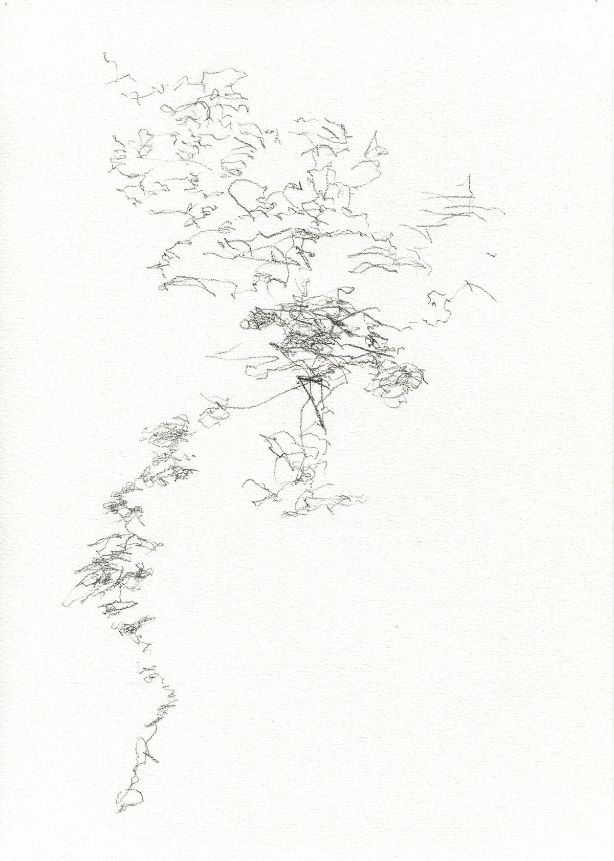 226153-pierre_desssinssismographiques_venise_belgrade_recadre.jpg