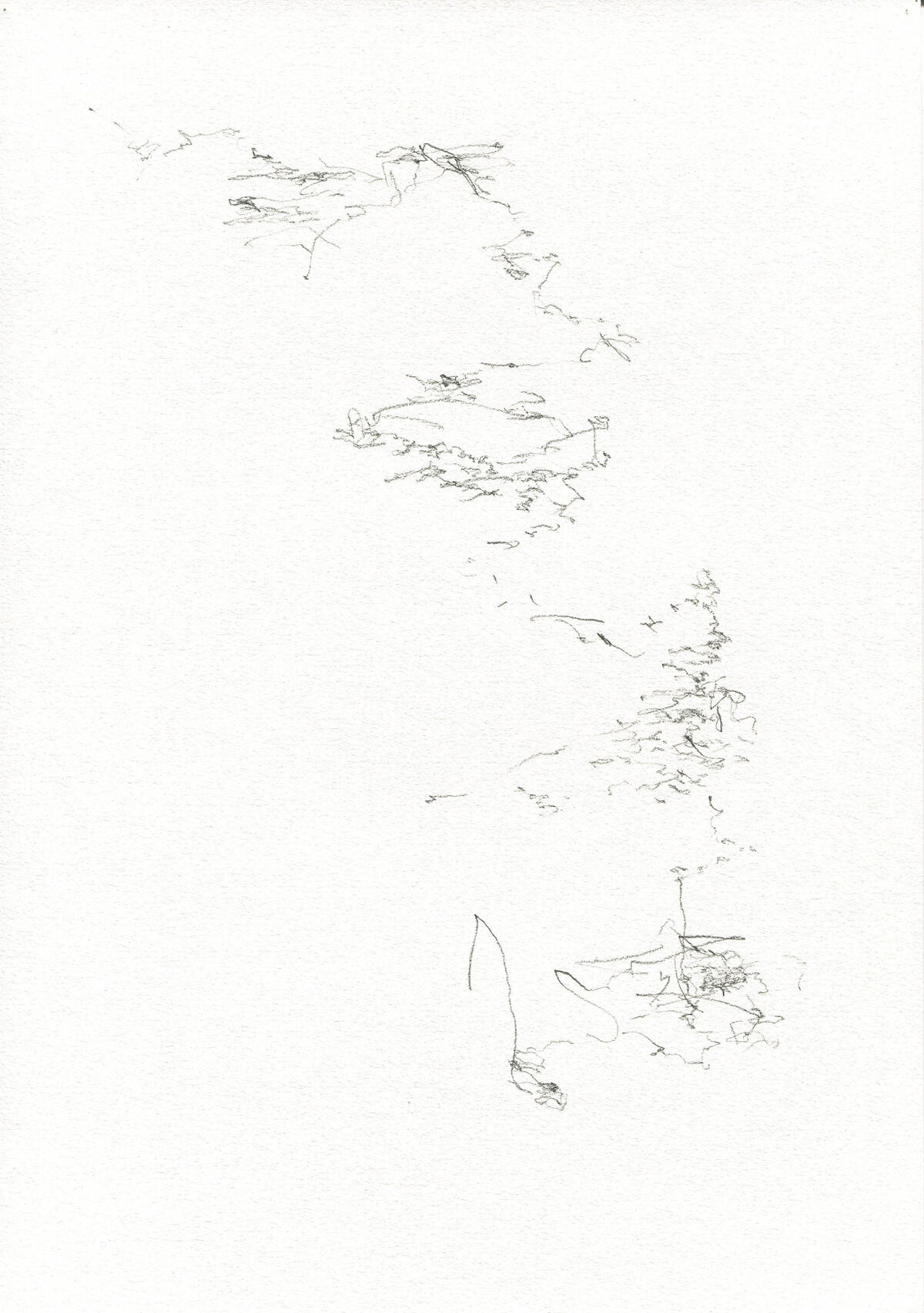 226139-pierre_desssinssismographiques_belgrade_venise_2_recadre.jpg