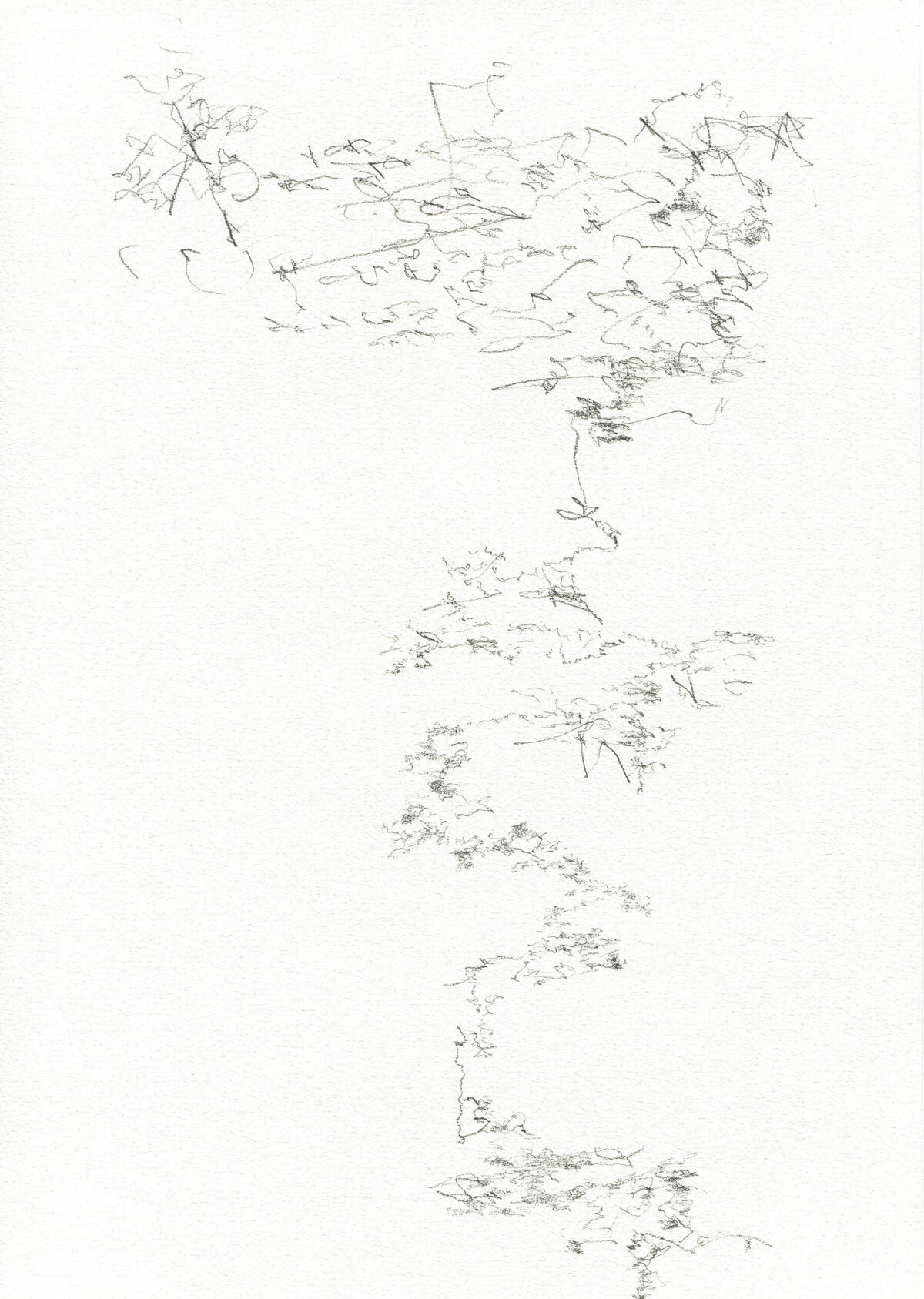 226142-pierre_desssinssismographiques_belgrade_venise_4_recadre.jpg