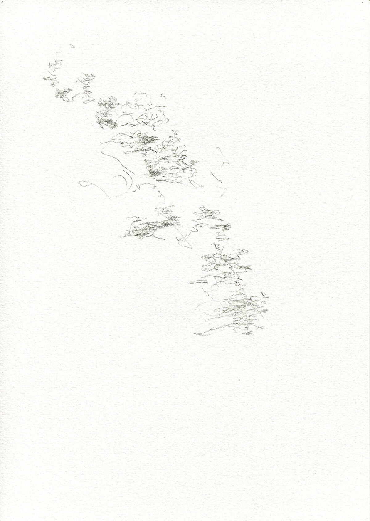 226141-pierre_desssinssismographiques_belgrade_venise_3_recadre.jpg