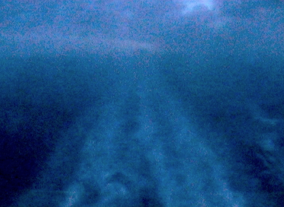 269598-debrot-la-petite-nuit-photogramme_la_petite_nuit2.png