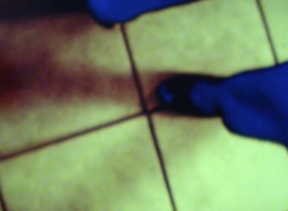 269600-debrot-la-petite-nuit-photogramme_la_petite_nuit3.png