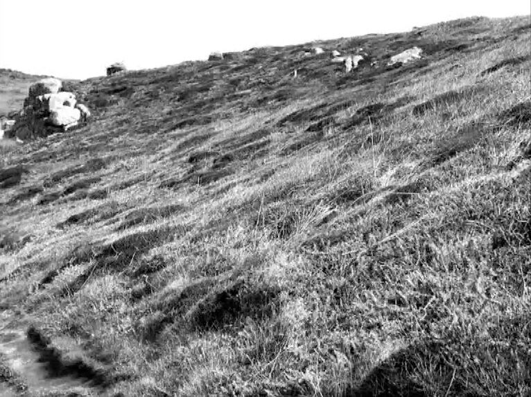 269747-debrot-cailloux-ou-le-chant-de-la-vieille-roche-photogramme_cailloux_3.jpg