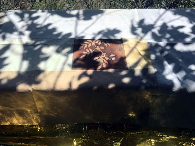269986-debrot-les-eaux-fuyantes-nappe_1.jpg