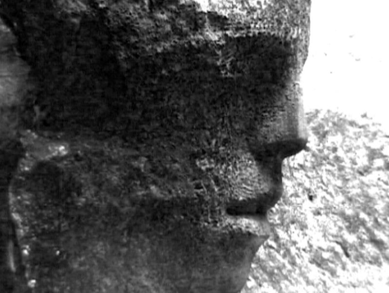 269610-debrot-troglodyte-photogrammetroglodyte_7.jpg