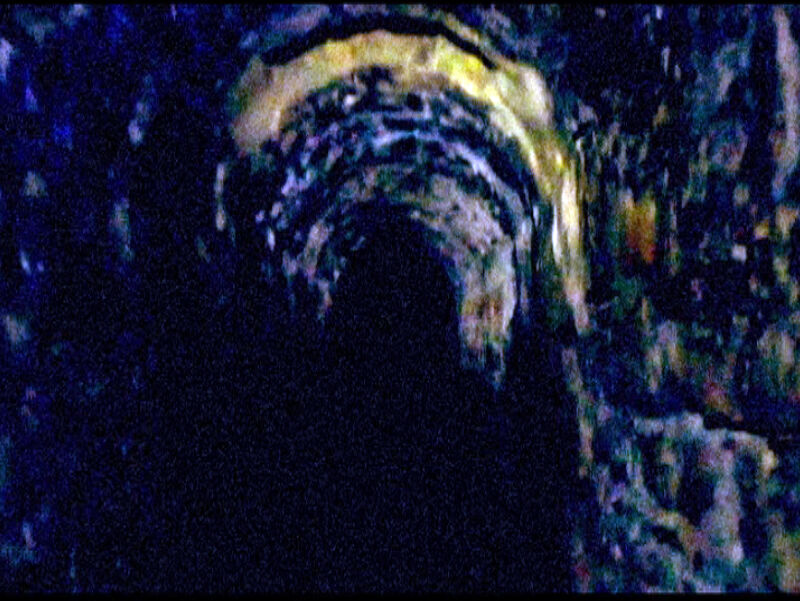 269611-debrot-troglodyte-photogrammetroglodyte_8.jpg