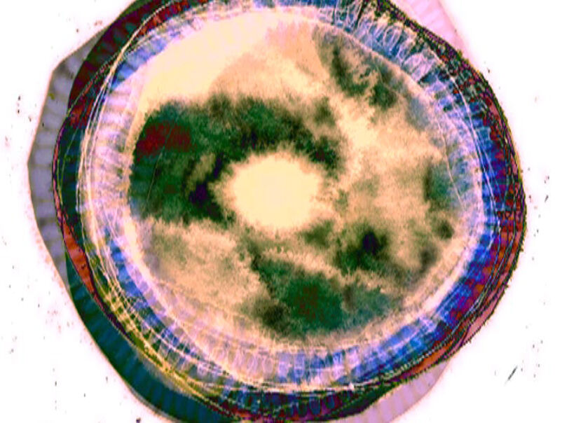 269609-debrot-troglodyte-photogrammetroglodyte_6.jpg