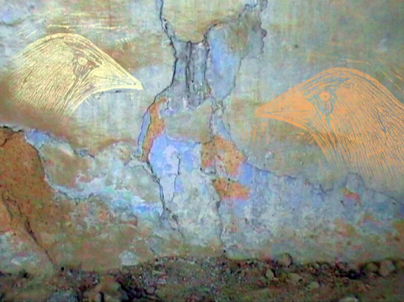 269606-debrot-troglodyte-photogrammetroglodyte_3.jpg